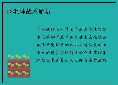 羽毛球战术解析